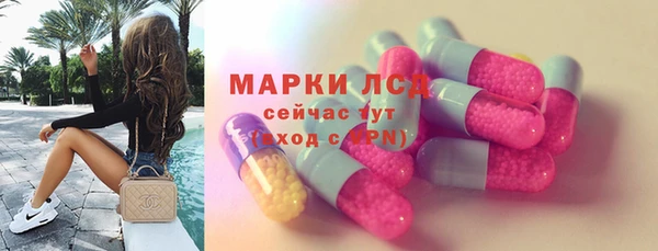 прущие грибы Галич