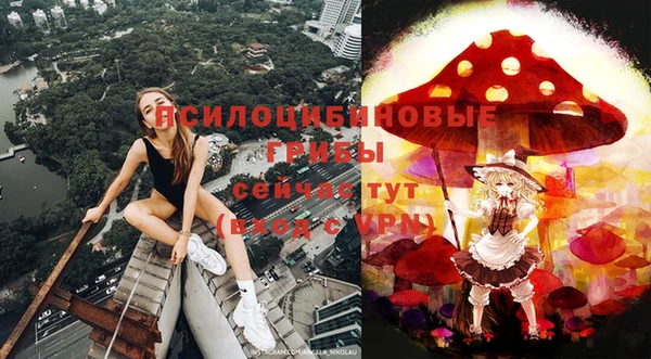 гидра Осинники