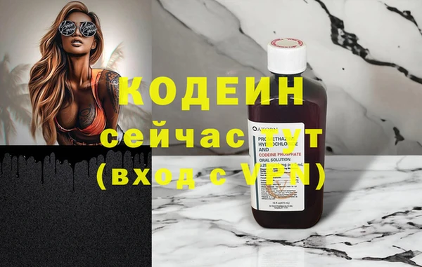 кокс Гатчина