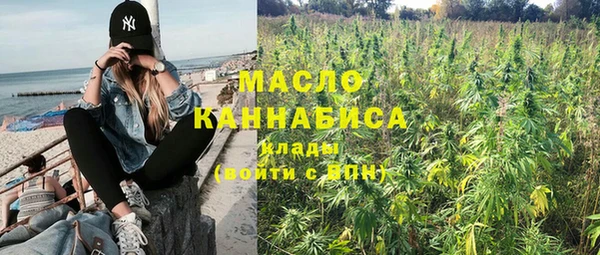 кокс Гатчина