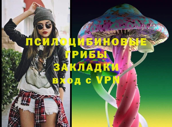 винт Осташков