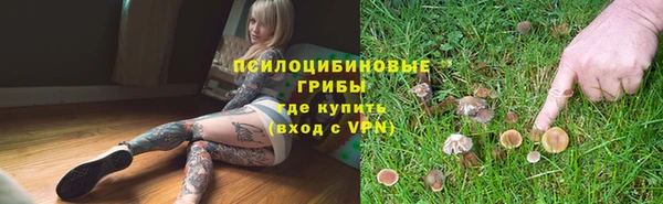ECSTASY Рославль