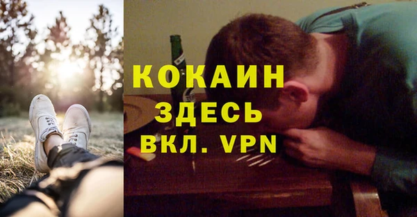 гидра Осинники