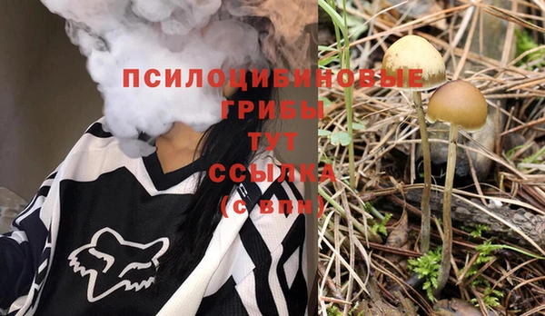 винт Осташков