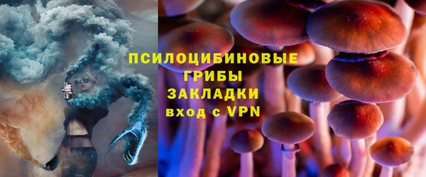 гидра Осинники