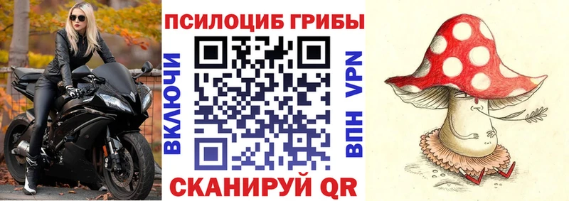 гидра как войти  Новомичуринск  Галлюциногенные грибы Psilocybine cubensis 